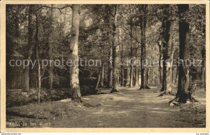 Assen in het Bosch Waldpartie