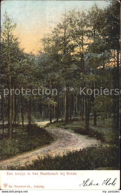 Breda Noord-Brabant Mastbosch