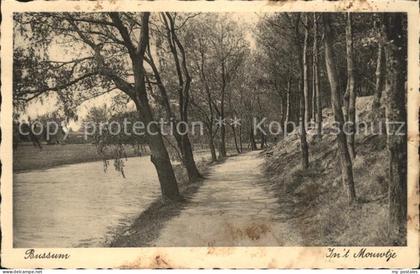 Bussum In t Mouwtje
