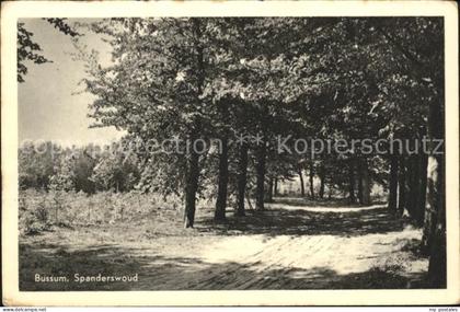 Bussum Spanderswoud