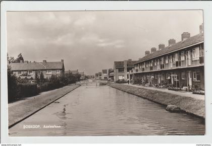 Dav :  PPays  bas :  BOSKOOP :  azalealaan