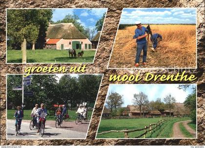 Drenthe Radfahrer Bauernhof