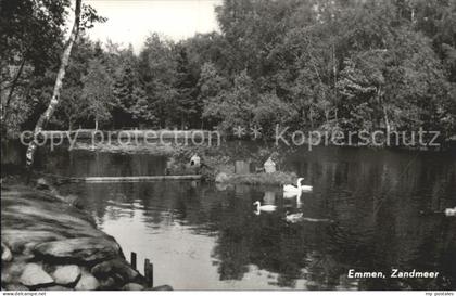 Emmen Netherlands Zandmeer Enten