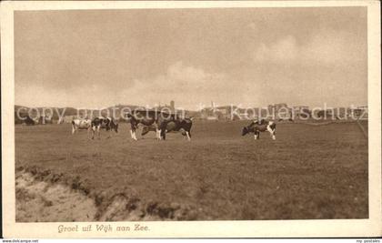 Wijk aan Zee Kuehe