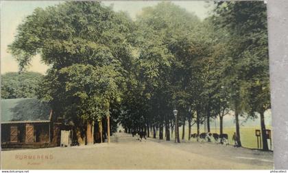 Purmerend // Purmer (Koeien) 1911 met Spoor. Traject stempl