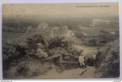 Duinpanorama bij Renesse