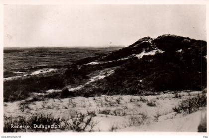Renesse - Duingezicht