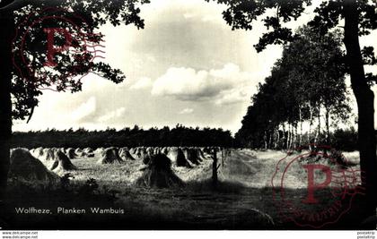 Wolfheze Planken Wambuis Renkum Gelderland landbouw HOLLAND HOLANDA NETHERLANDS