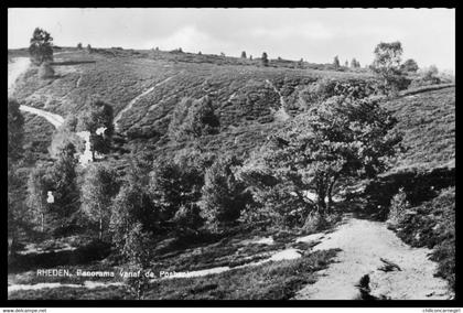 Cp Dentelée - RHEDEN - Panorama vanaf de Posbank - Postbank - Edit. ARENDS - 1964