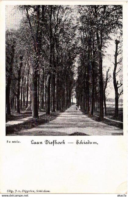 CPA AK SCHIEDAM Laan Diefhoek NETHERLANDS (602147)