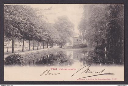 Vintage Postcard Netherlands Tiel Kalverbosch 1907