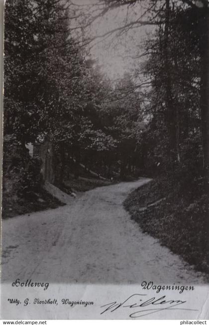 Wageningen // Holleweg 1902