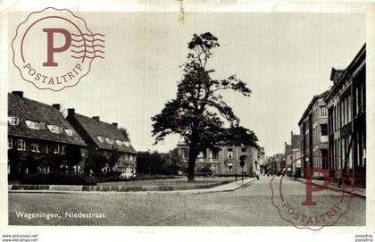 WAGENINGEN  Niedestraat  Nudestraat Gelderland Wageningen  HOLLAND HOLANDA NETHERLANDS