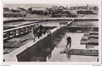 Yerseke - Oesterputten