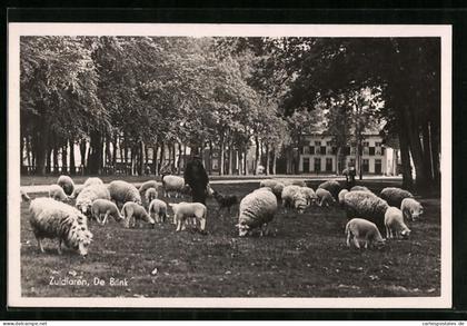 AK Zuidlaren, De Brink