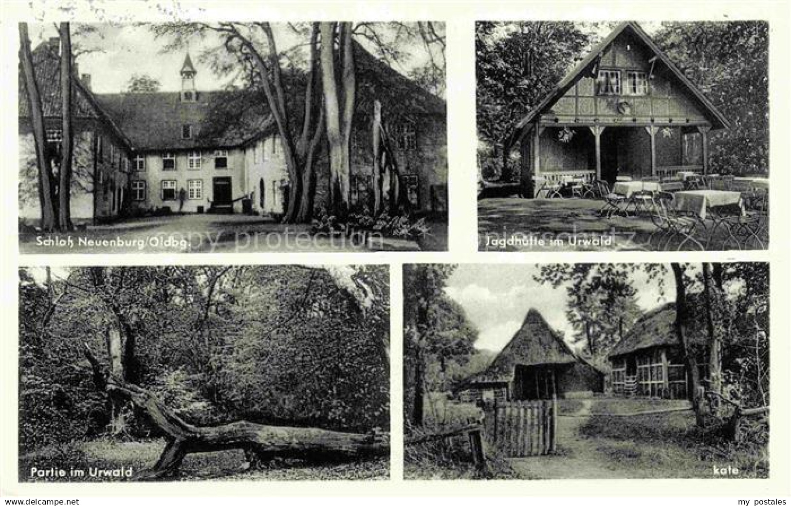 Neuenburg Oldenburg Zetel Friesland Schloss Jagdhuette im Urwald Kate