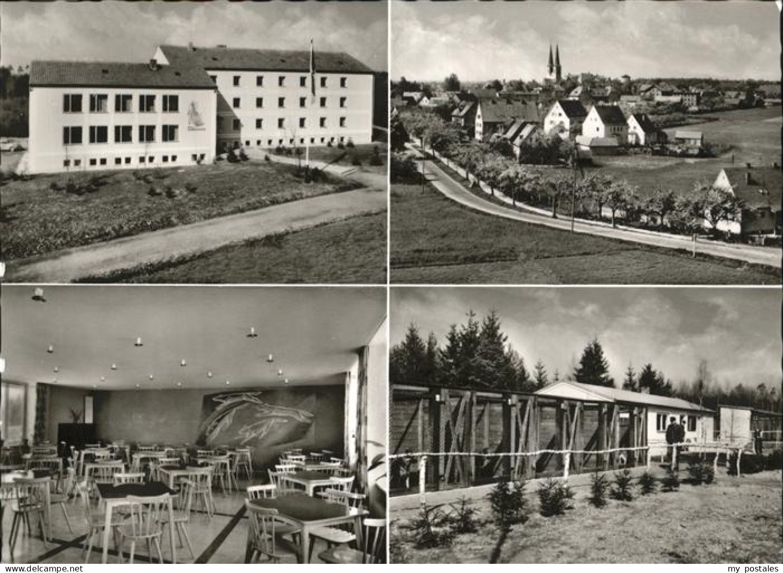 Neuendettelsau Zollhundeschule Zwingeranlage