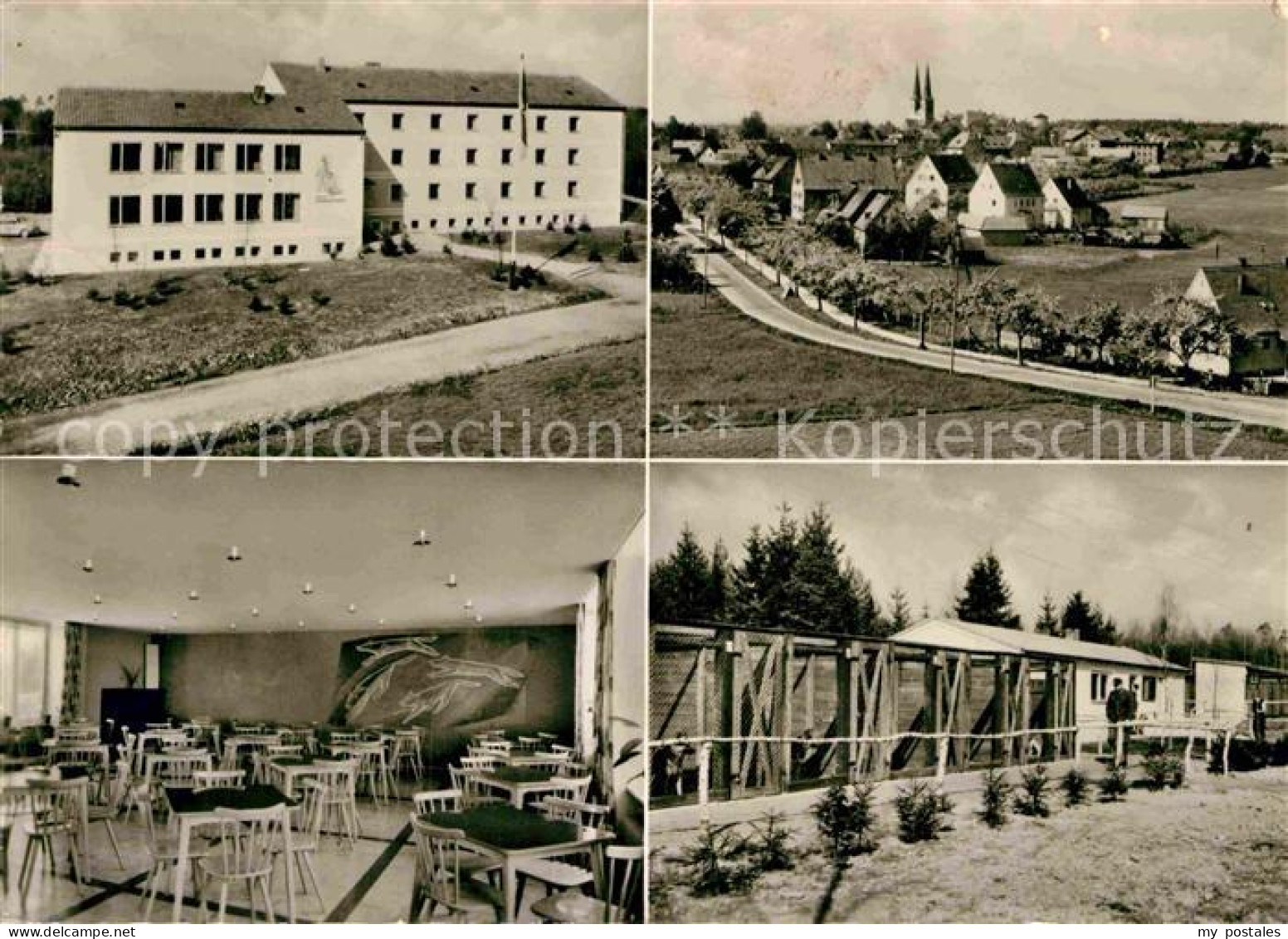 Neuendettelsau Zollhundeschule Zwingeranlage Ortsansicht mit Kirche