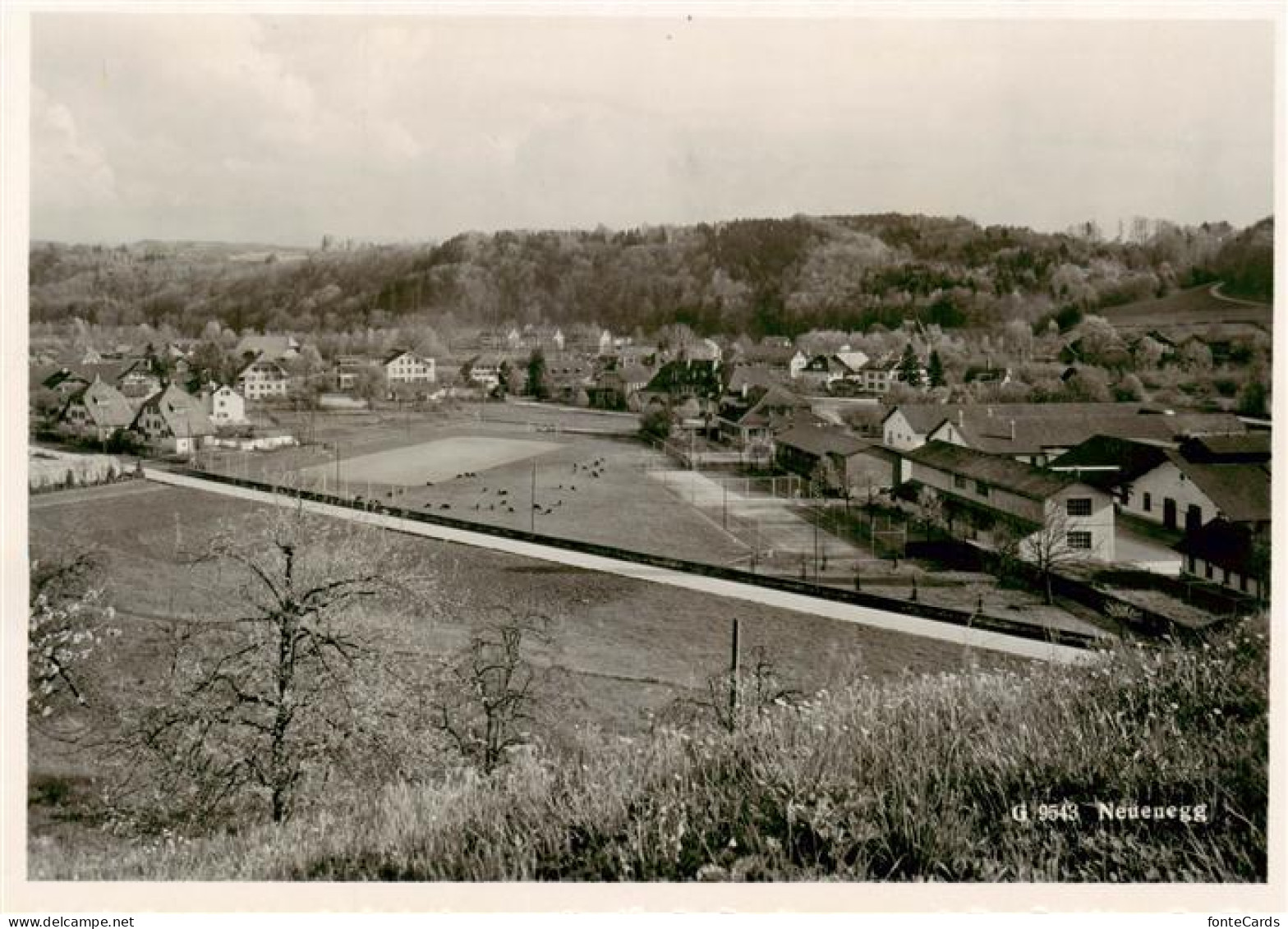 Neuenegg BE Panorama