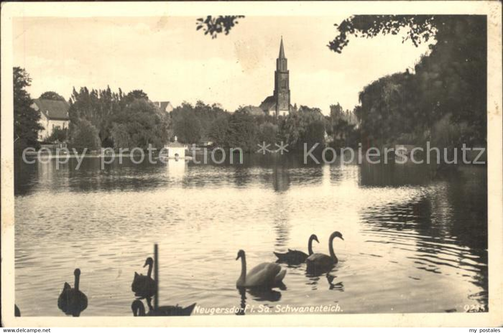 Neugersdorf Sachsen Schwanenteich