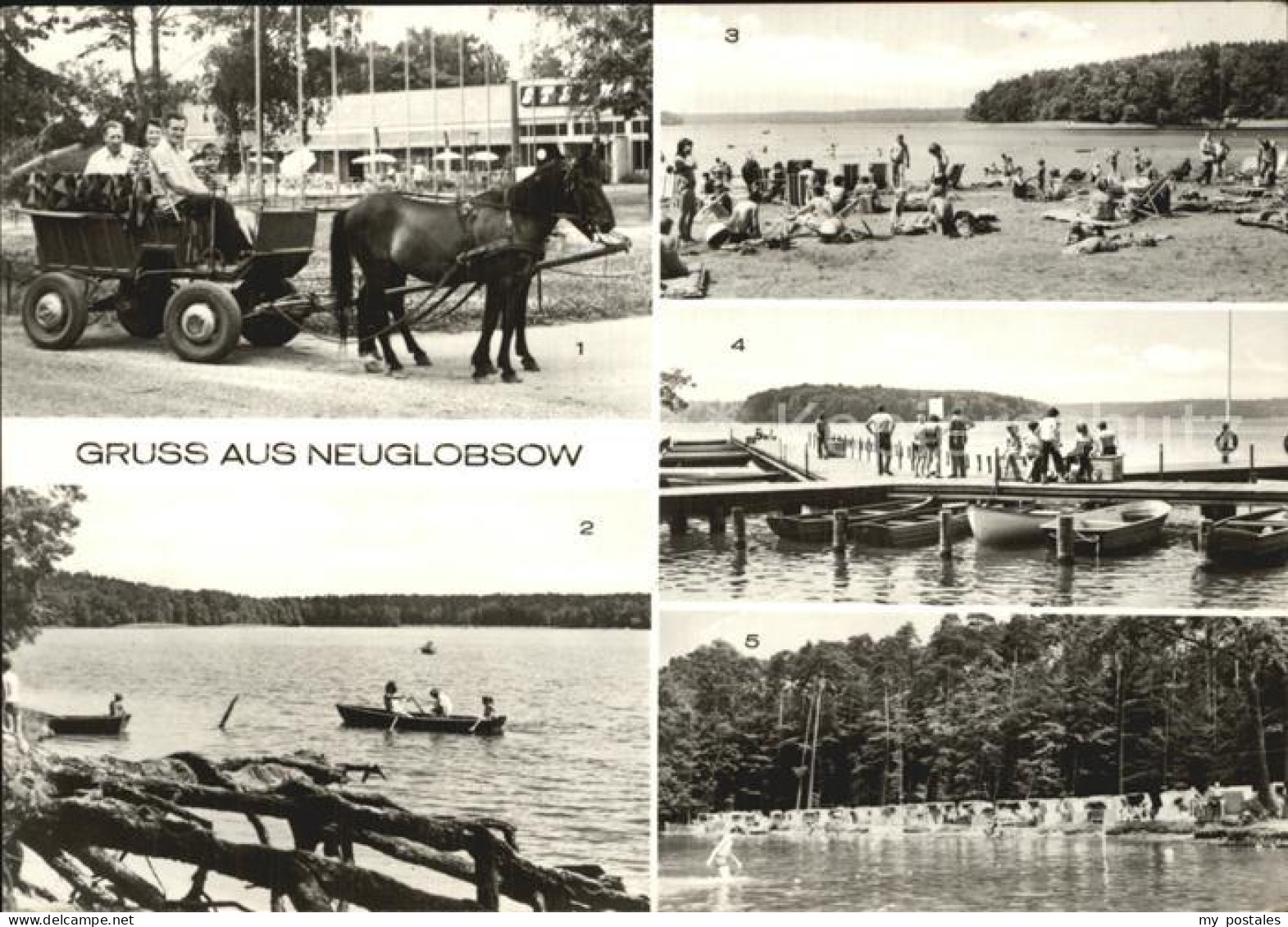 Neuglobsow Ponyrundfahrt Stechlinsee