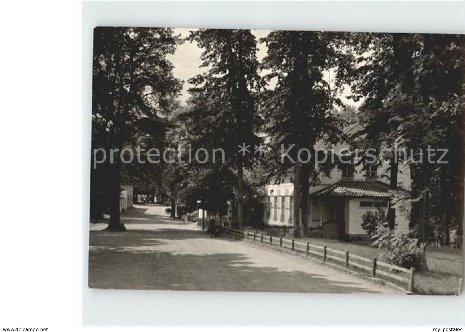 Neuglobsow Stechlinsee Strasse