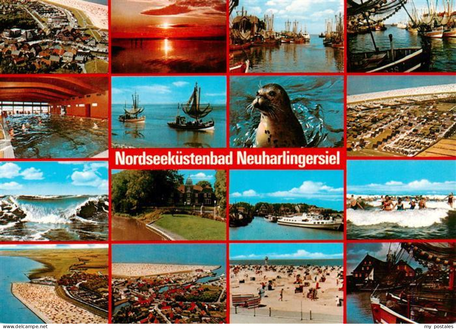 Neuharlingersiel Fliegeraufnahmen Hallenbad Wellen Kutterhafen Seehund Strand