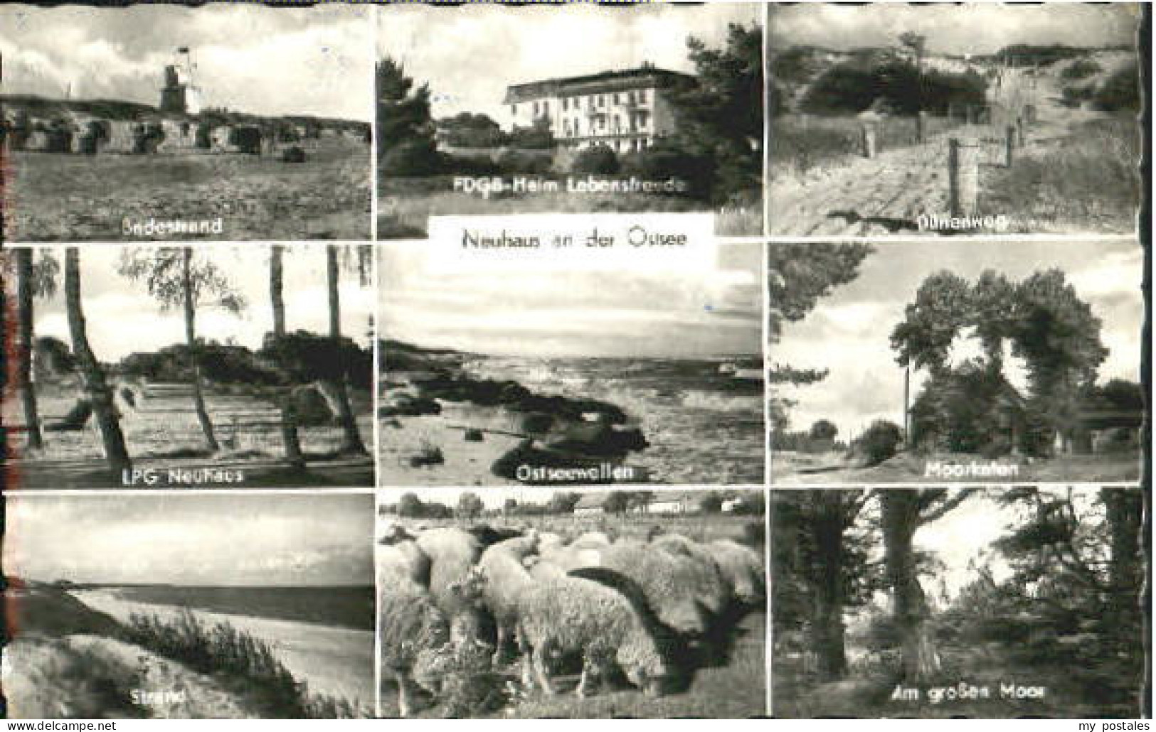 Neuhaus Dierhagen Neuhaus Ostsee  x 1961