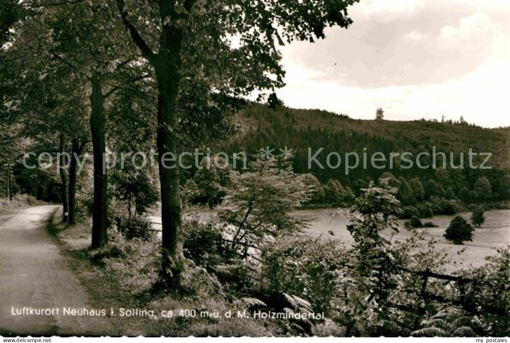 Neuhaus Solling Holzmindertal Forst