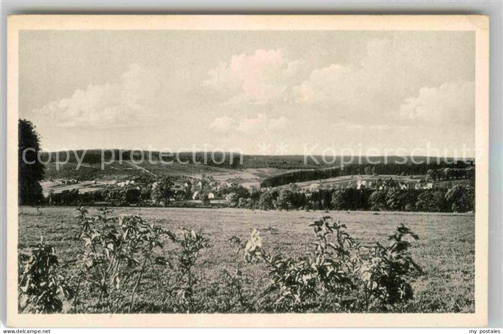 Neuhaus Solling Panorama
