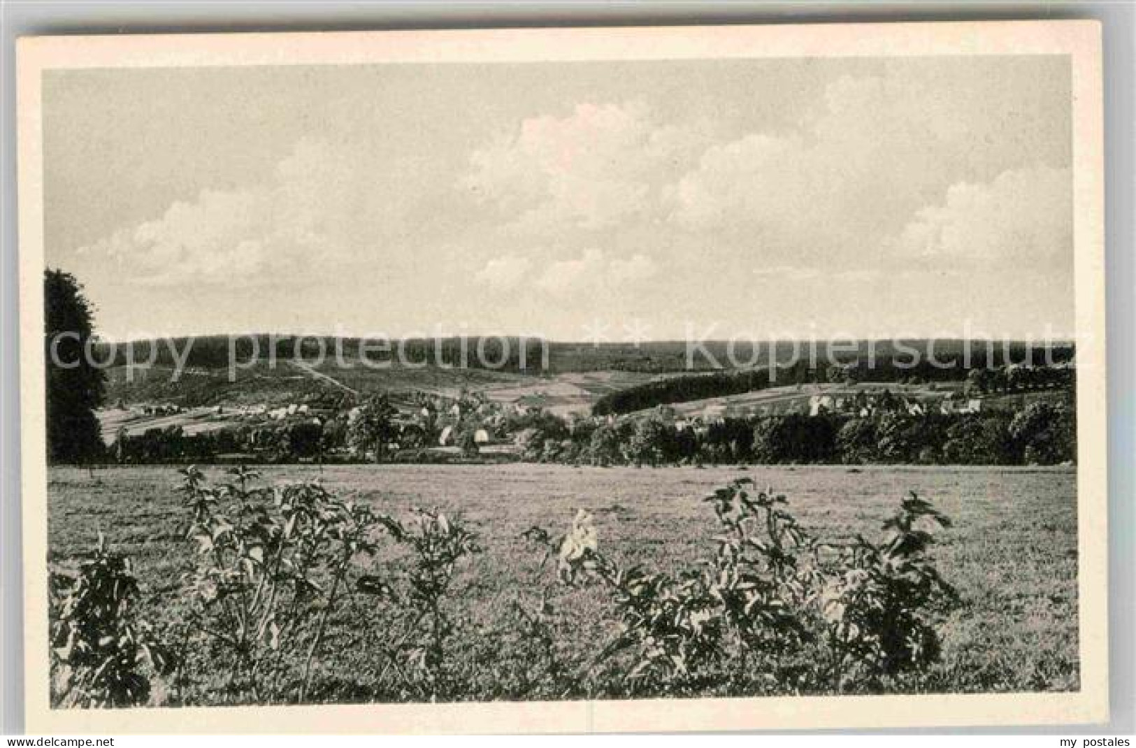 Neuhaus Solling Panorama