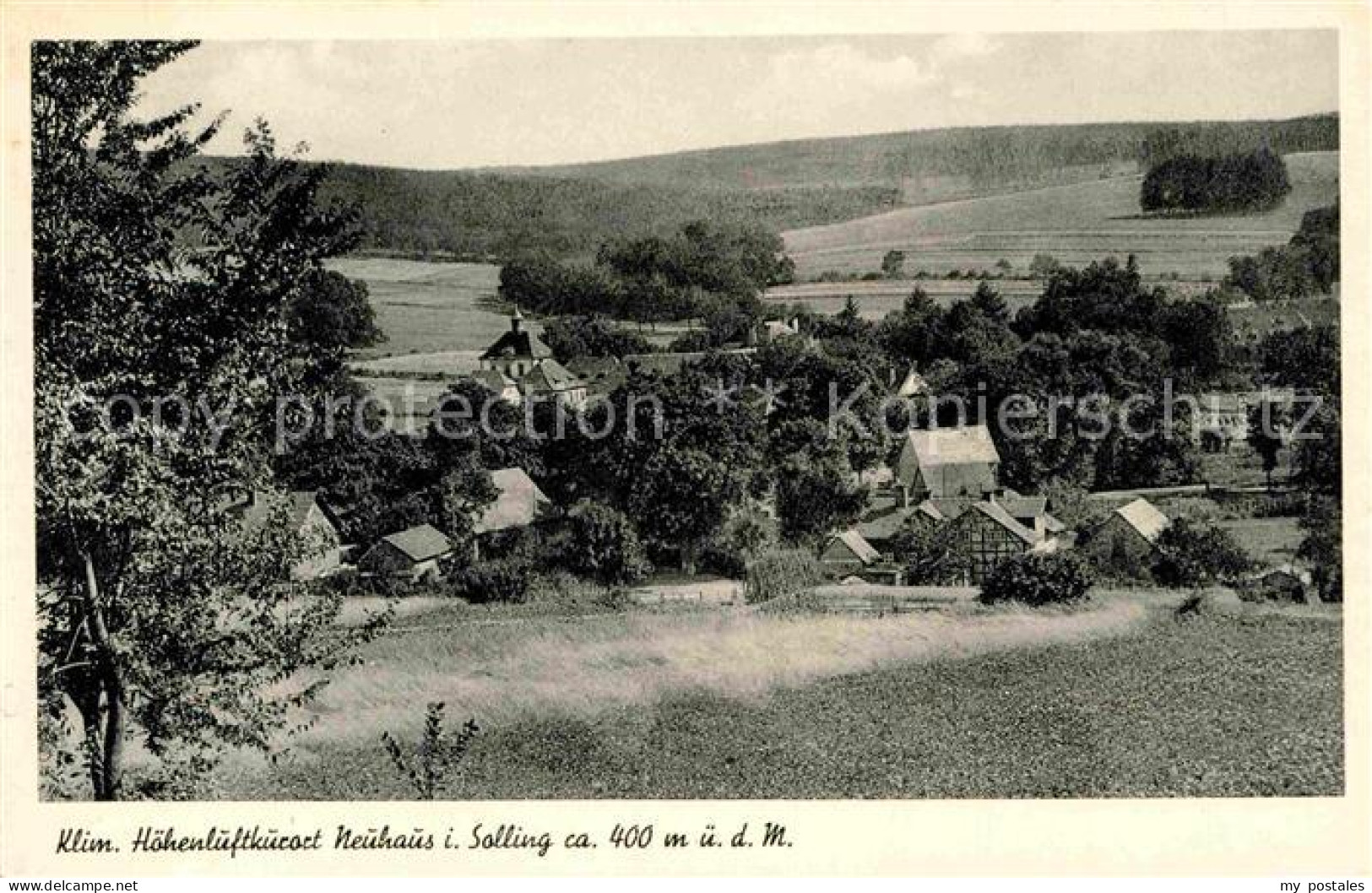 Neuhaus Solling Panorama