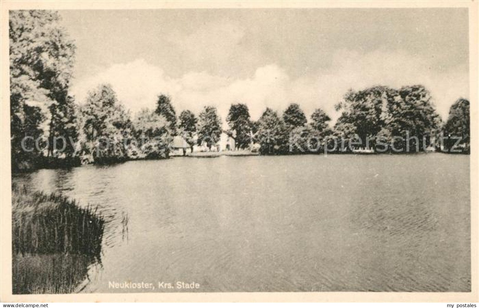 Neukloster Niederelbe Seepanorama