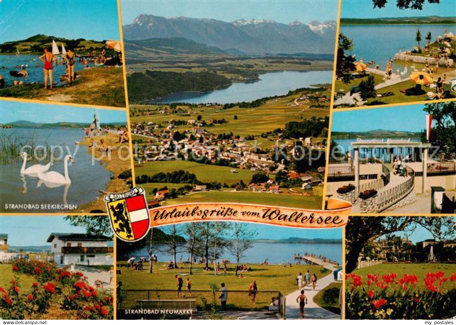 Neumarkt Wallersee Strandbad Fliegeraufnahme Strandbad Seekirchen Strandbad Neum