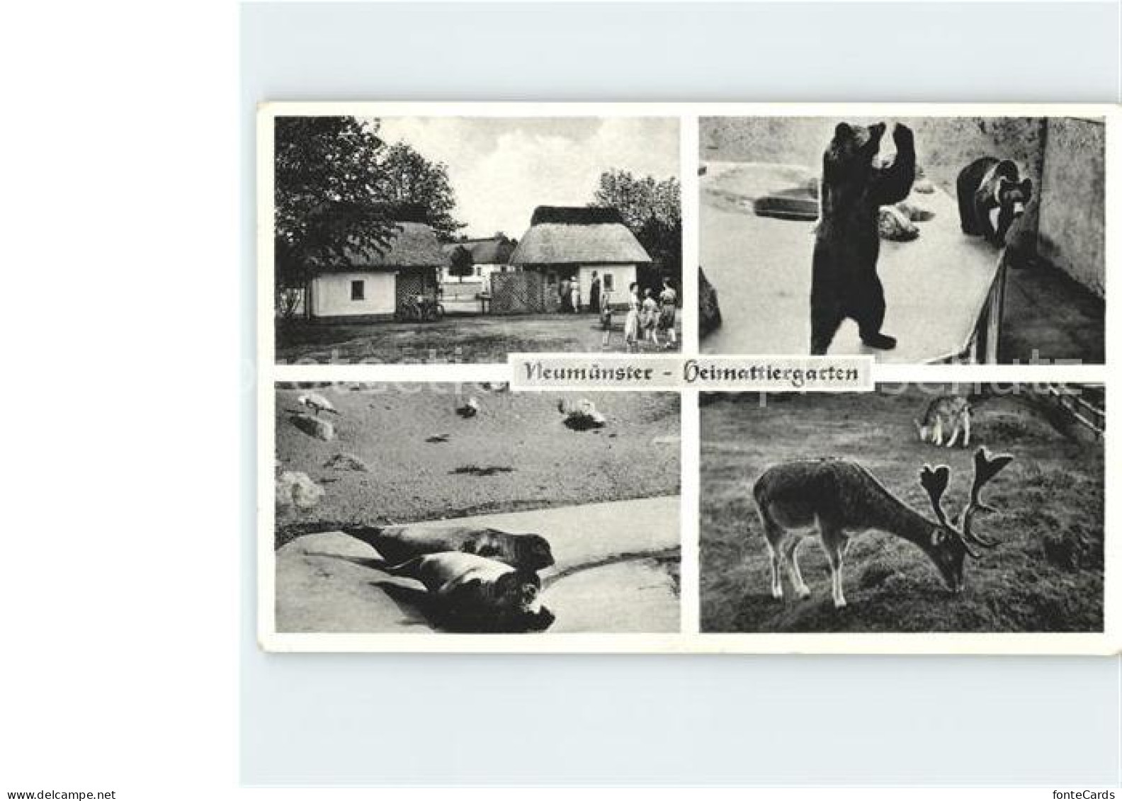 Neumuenster Zuerich Heimtiergarten