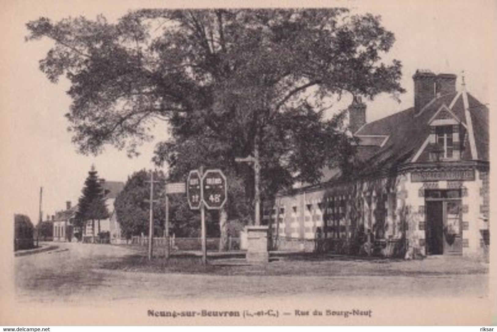 NEUNG SUR BEUVRON(ARBRE)