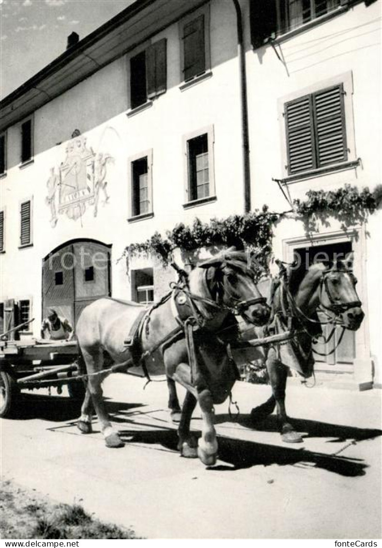 Neunkirch SH Bauernhof Pferdefuhrwerk