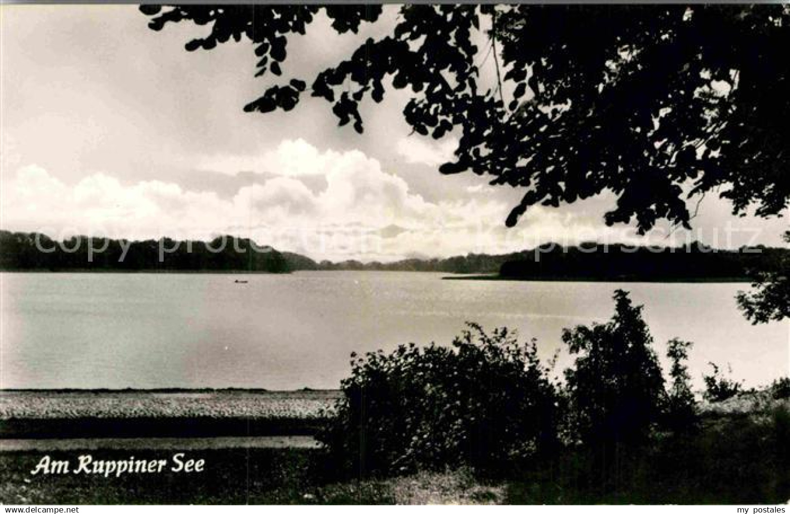 Neuruppin Seepanorama