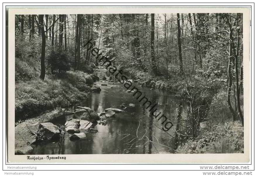 Neusalza-Spremberg - Spree - Foto-AK