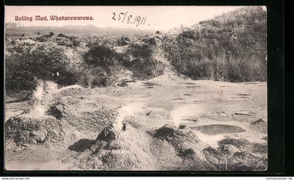 AK Neuseeland, Boiling Mud, Whakarewarewa