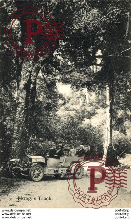 HONGI'S TRACK NEW ZEALAND NUEVA ZELANDA