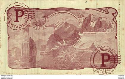 NUEVA ZELANDA // NEW ZEALAND. LETTER CARD