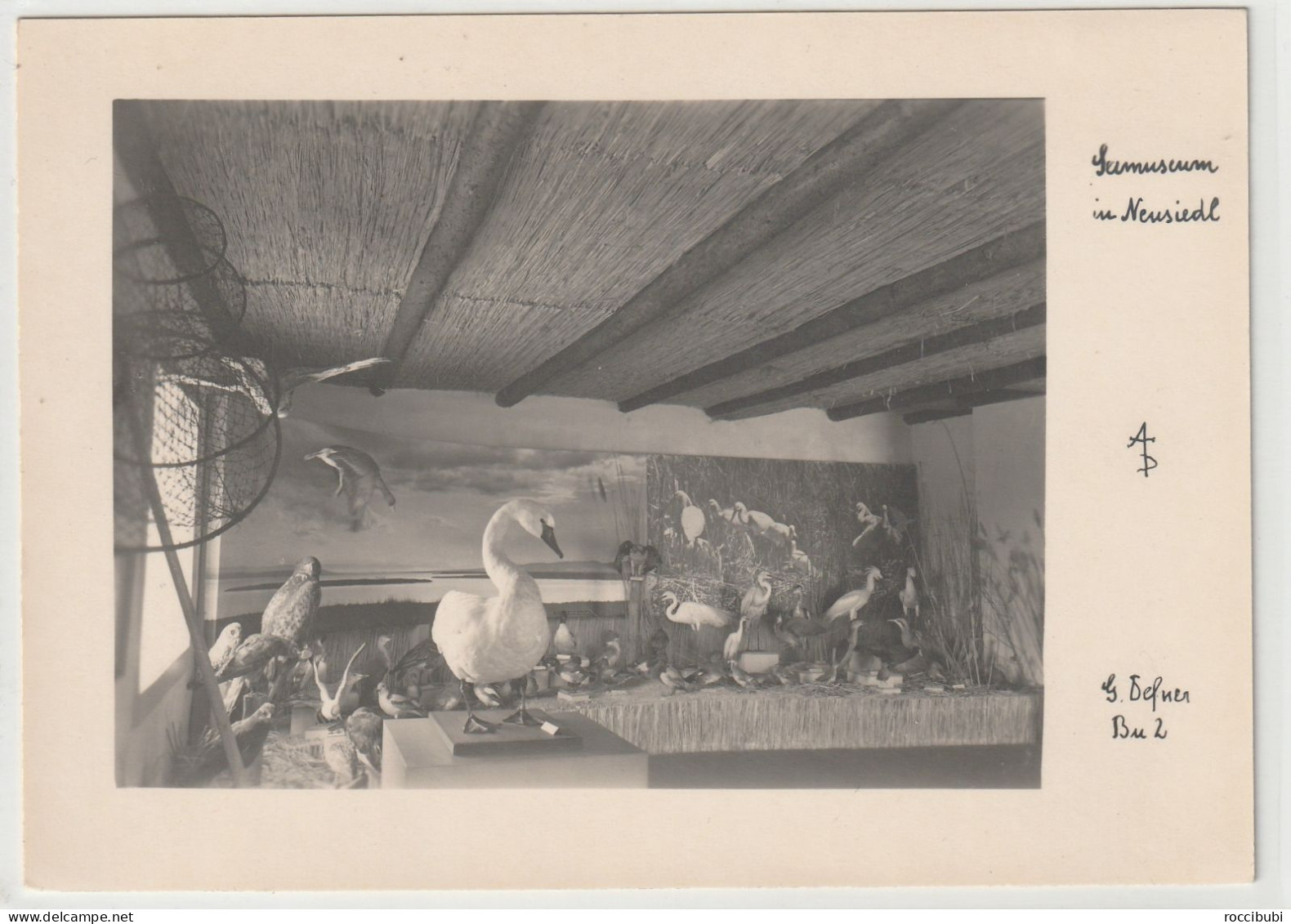 Neusiedl am See, Seemuseum