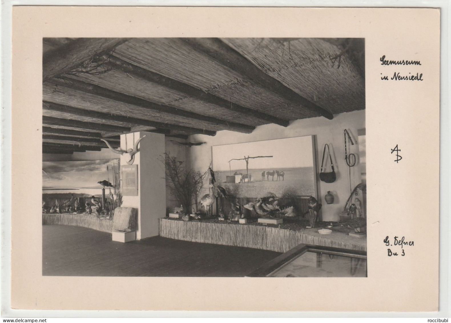 Neusiedl am See, Seemuseum