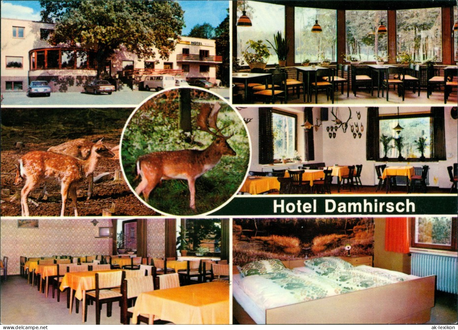 Neustadt am Rübenberge Hotel Damhirsch Restaurant Bes. Kempf, Innen & Außen 1970