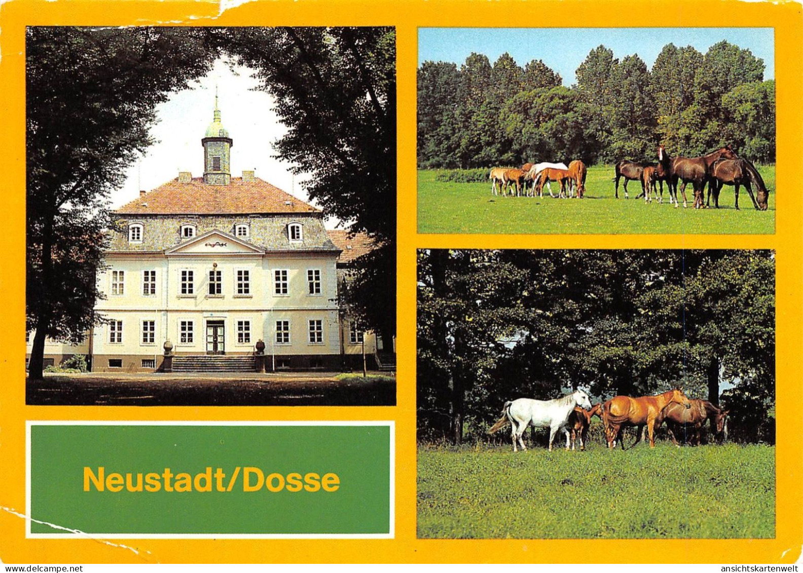 Neustadt/Dosse VE Hauptgestüt ngl #169.060