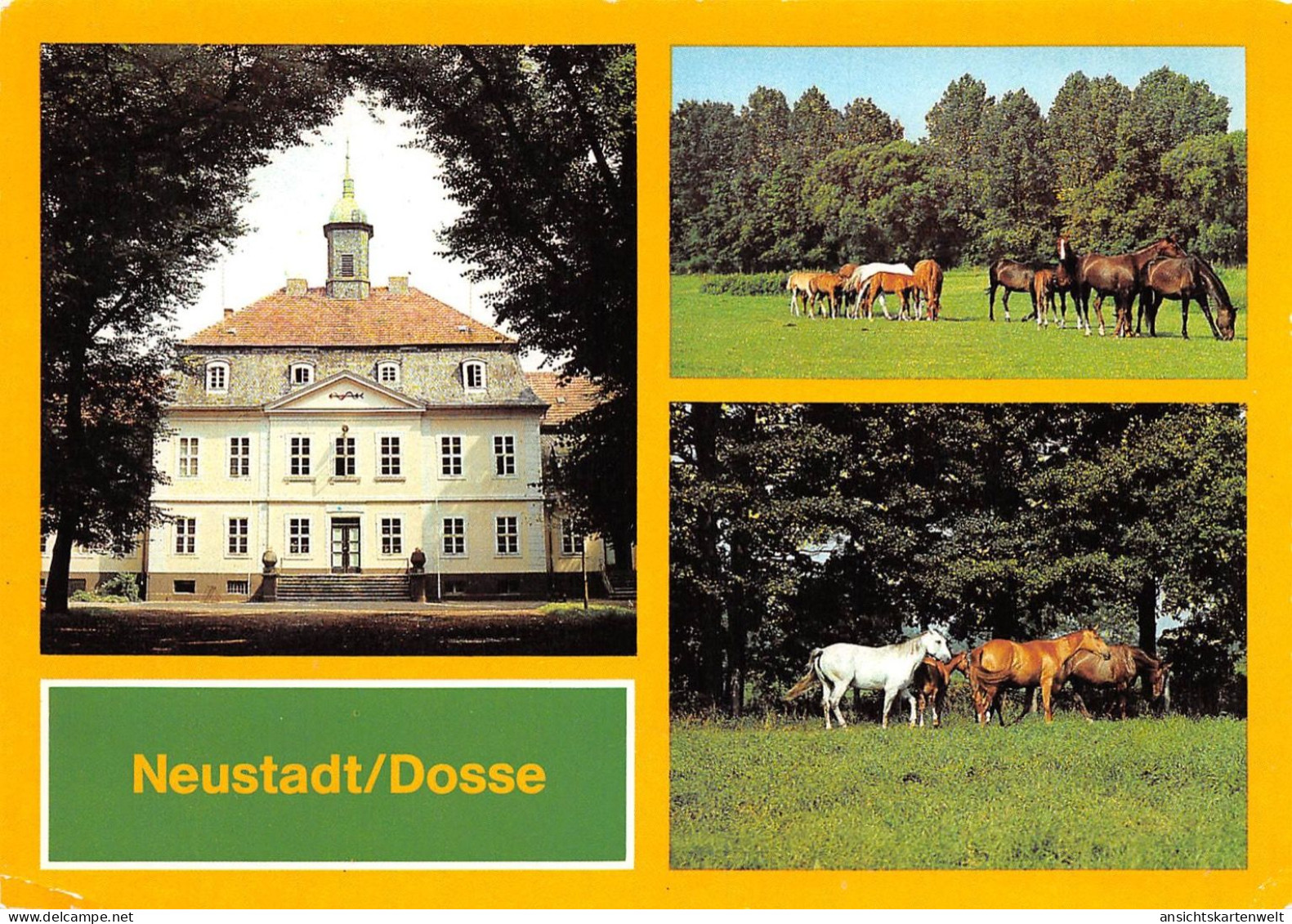 Neustadt/Dosse VE Hauptgestüt ngl #169.061