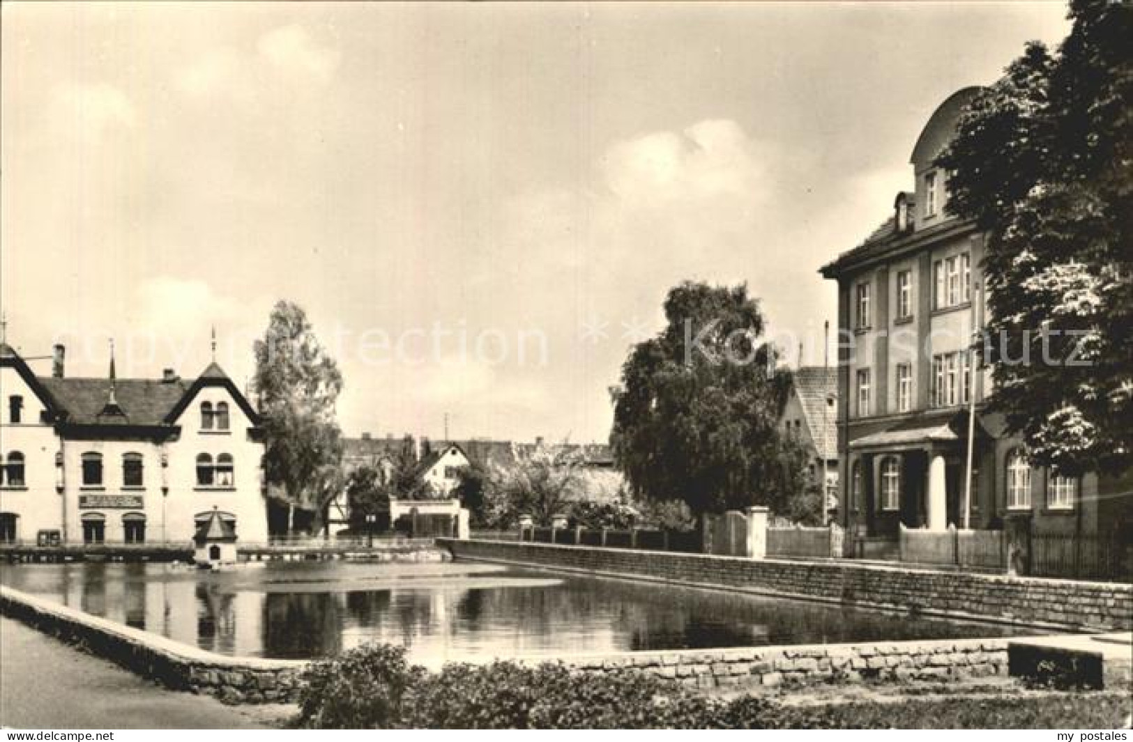 Neustadt Orla Gamsenteich