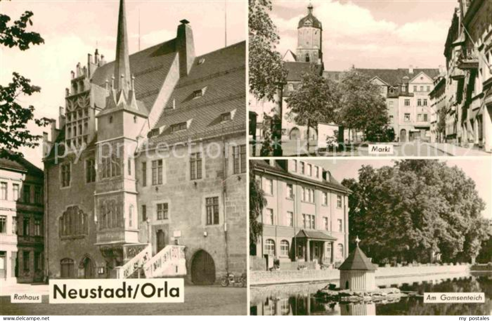 Neustadt Orla Markt Gamsenteich Rathaus