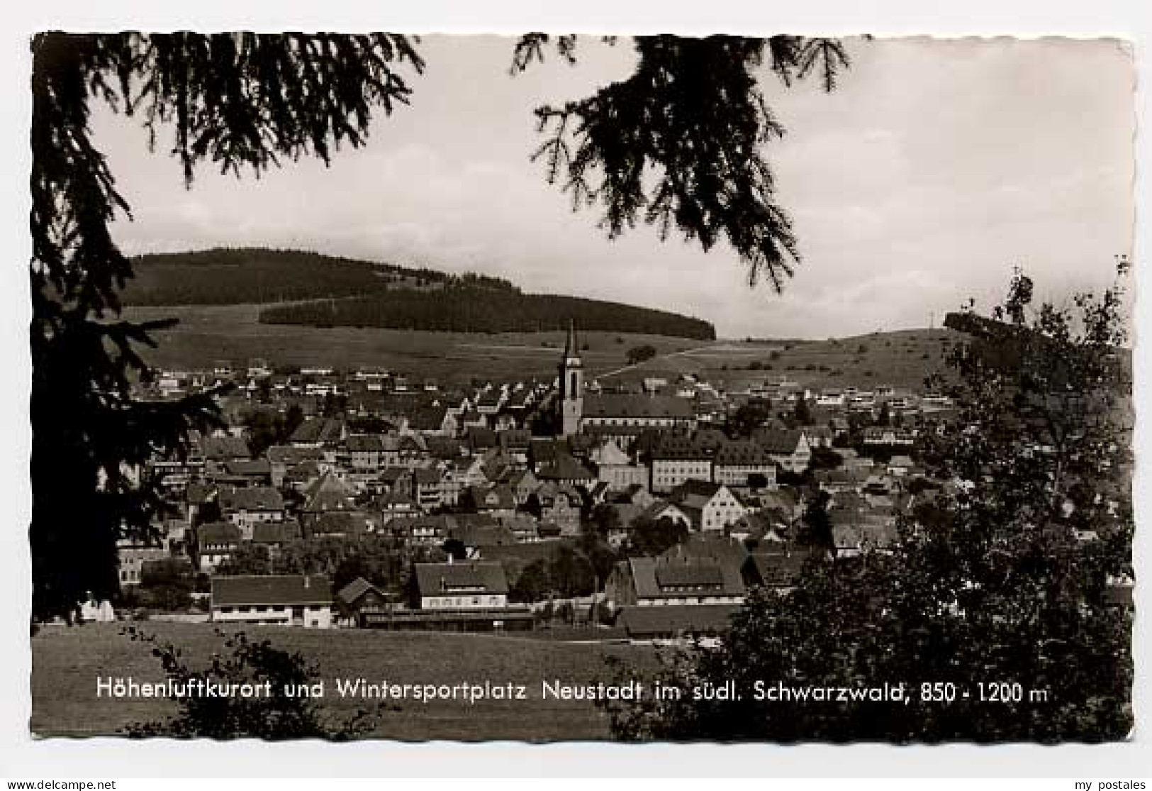 Neustadt Schwarzwald Neustadt Schwarzwald